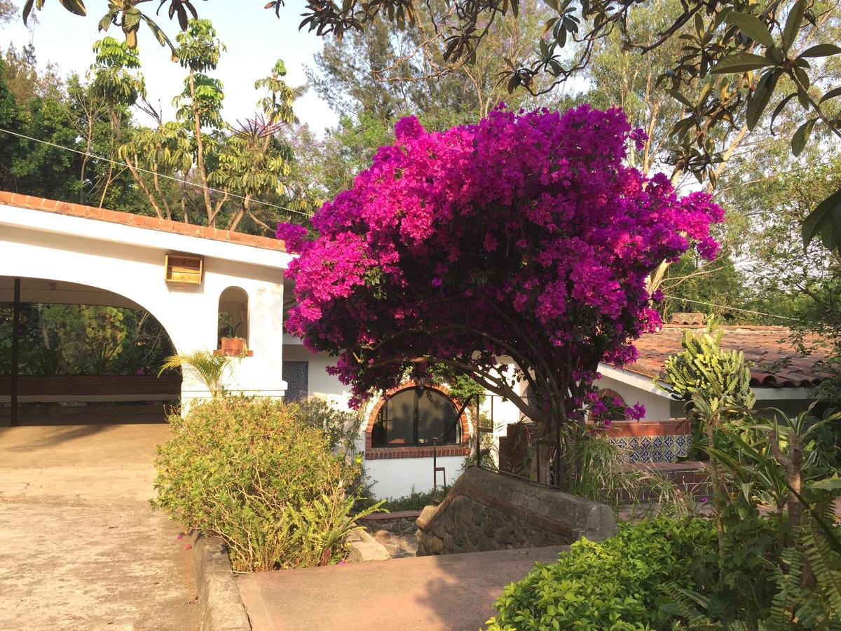 Villas Bellavista Cuernavaca Dış mekan fotoğraf